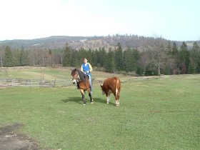 calarie, cazare, turism rural